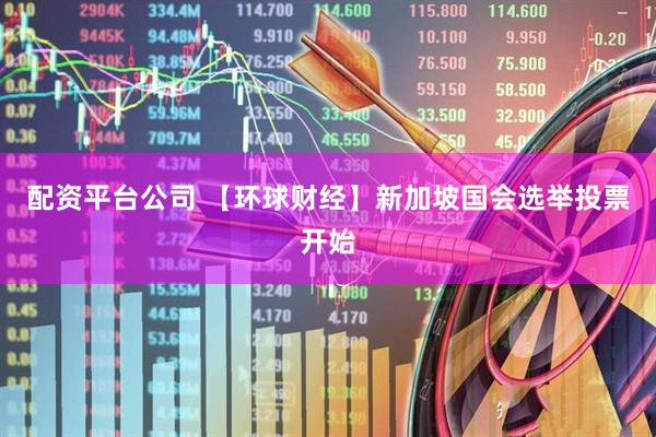 配资平台公司 【环球财经】新加坡国会选举投票开始