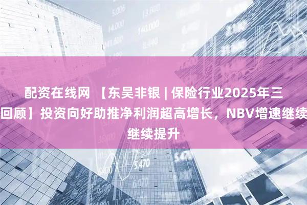 配资在线网 【东吴非银 | 保险行业2025年三季报回顾】投资向好助推净利润超高增长，NBV增速继续提升
